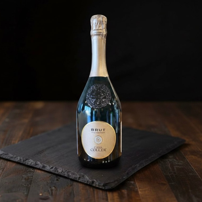 Вино игристое Casa Coller Brut Spumante
